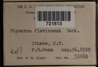 Image Associated With the Occurence